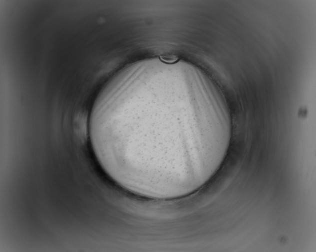 X0000102830028200809021324