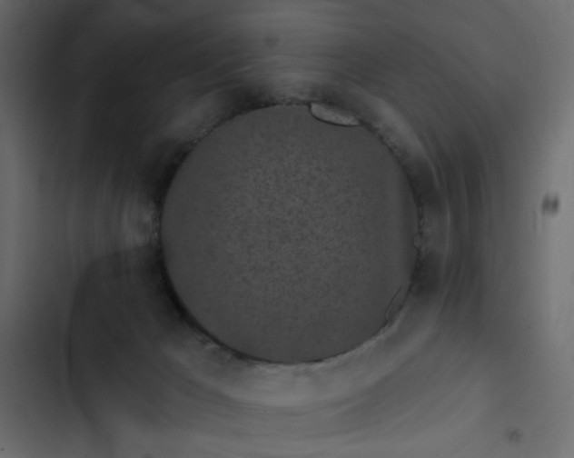 X0000102830029200809021324