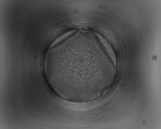 X0000102830030200809021324