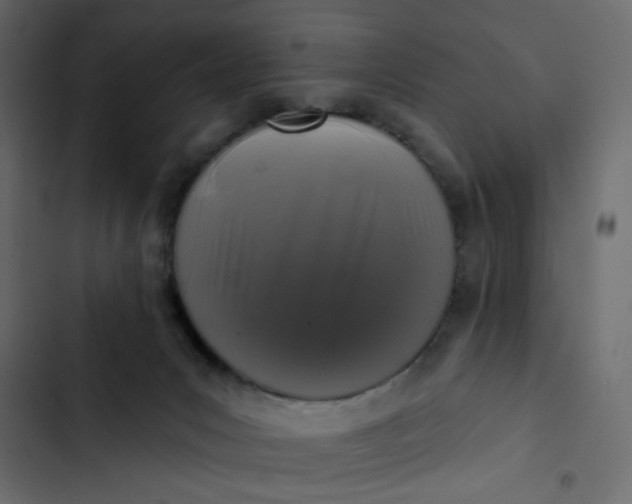 X0000102830031200809021324