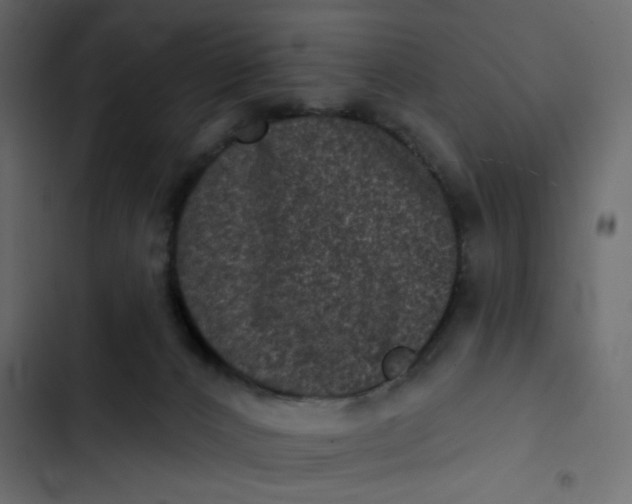 X0000102830032200809021323