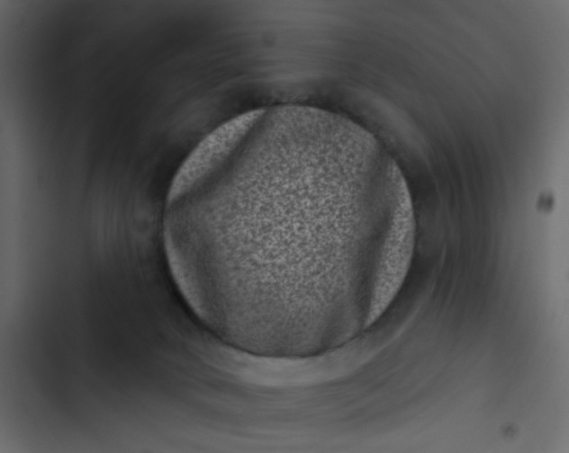 X0000102830034200809021323