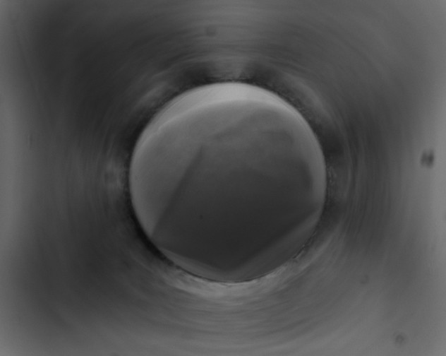 X0000102830035200809021323