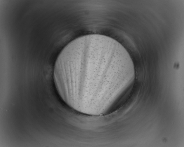 X0000102830036200809021323