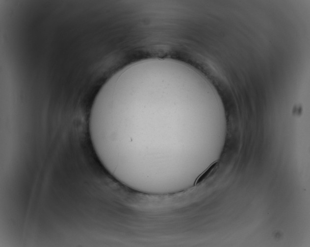 X0000102830037200809021323