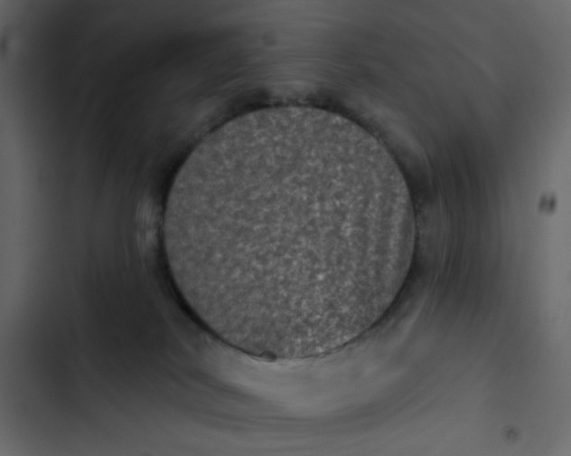 X0000102830038200809021323