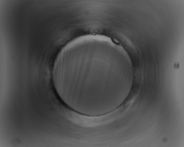 X0000102830039200809021323