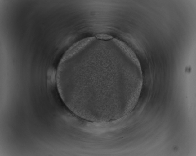 X0000102830041200809021323