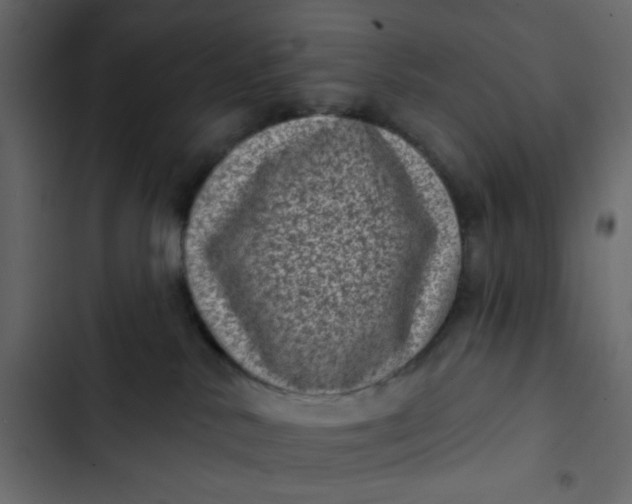 X0000102830042200809021323