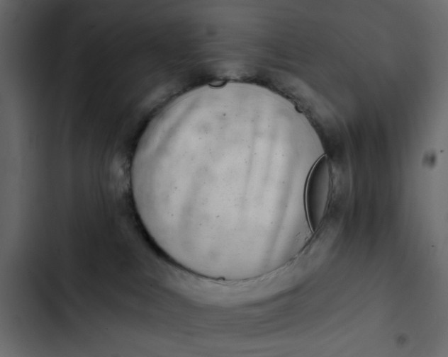 X0000102830043200809021323