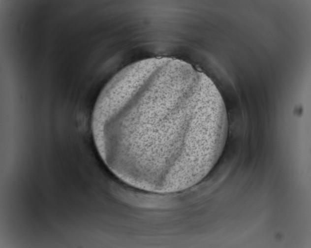 X0000102830044200809021323