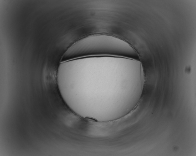 X0000102830045200809021323