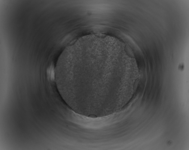 X0000102830046200809021323