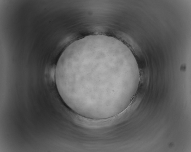 X0000102830047200809021323