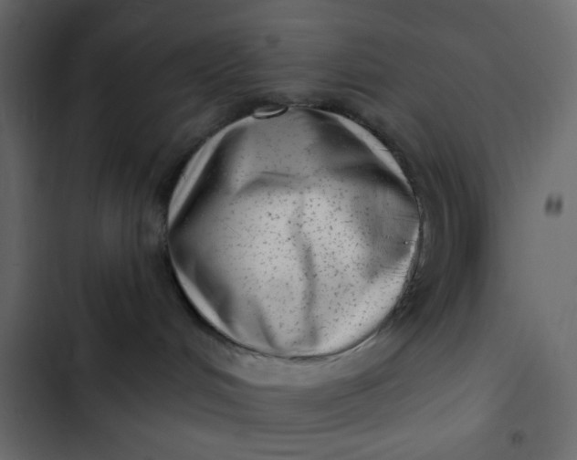 X0000102830048200809021323