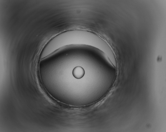 X0000102830049200809021322