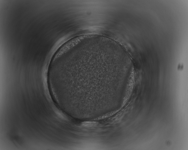 X0000102830051200809021322