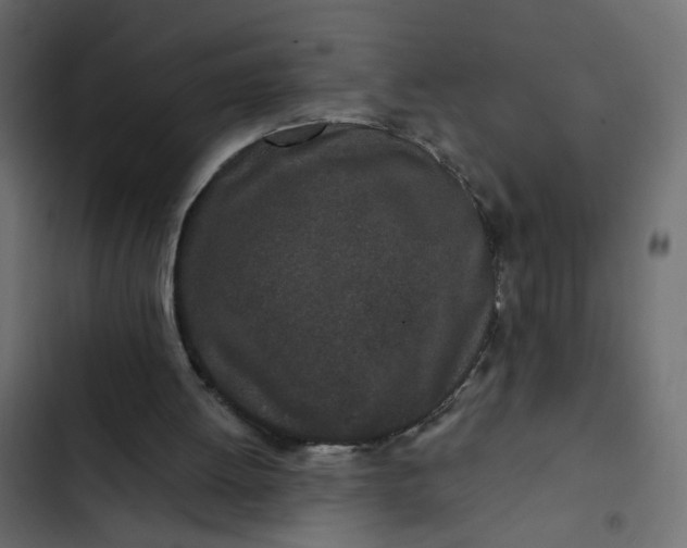 X0000102830052200809021322