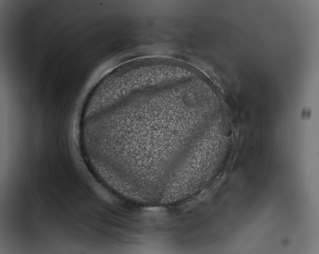 X0000102830053200809021323