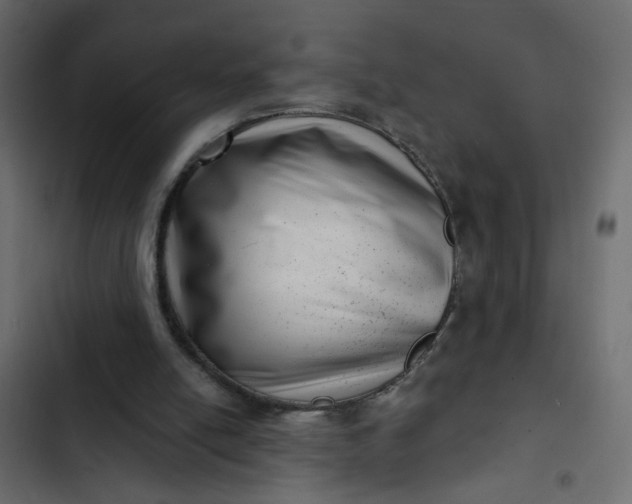 X0000102830054200809021323