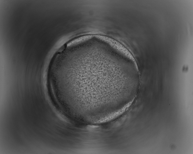 X0000102830055200809021323