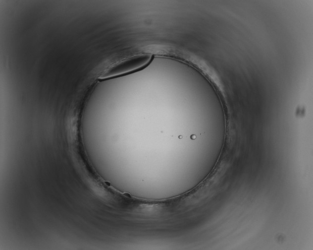 X0000102830057200809021323