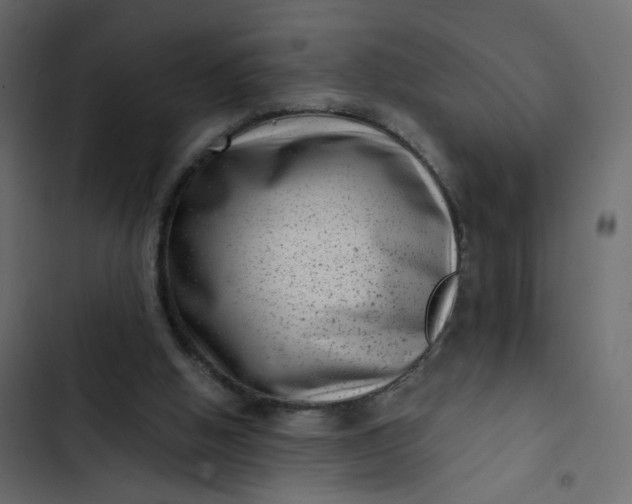 X0000102830058200809021323