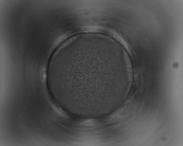 X0000102830059200809021323