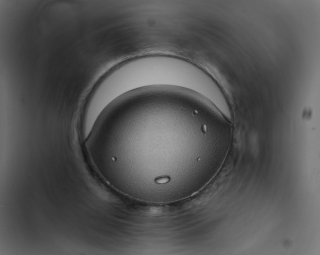 X0000102830060200809021323