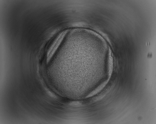 X0000102830061200809021323