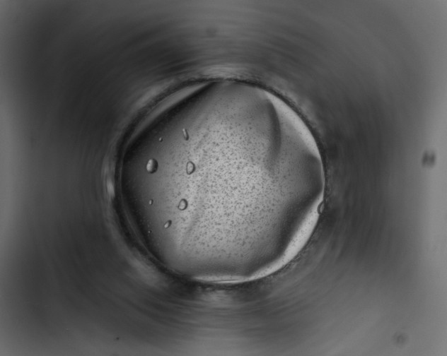 X0000102830062200809021323