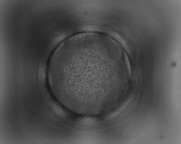 X0000102830063200809021323