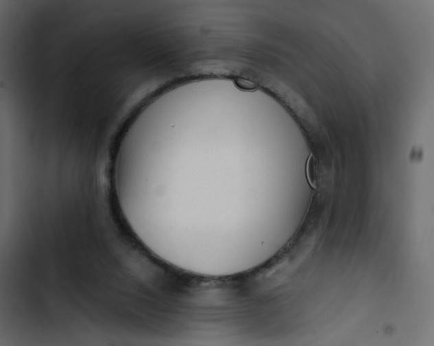 X0000102830064200809021323