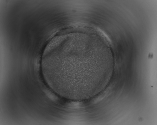 X0000102830065200809021323