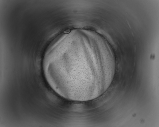 X0000102830066200809021323