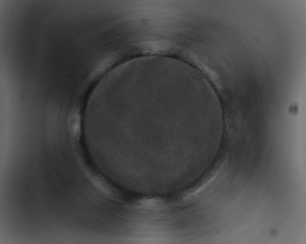 X0000102830067200809021323