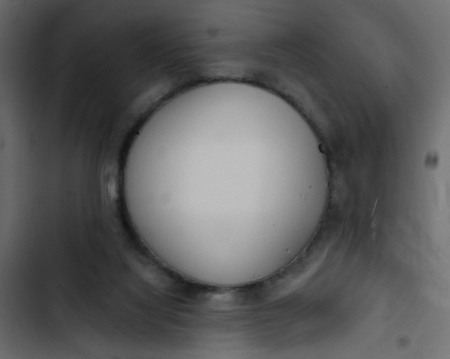 X0000102830068200809021323