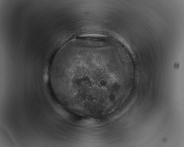 X0000102830069200809021323