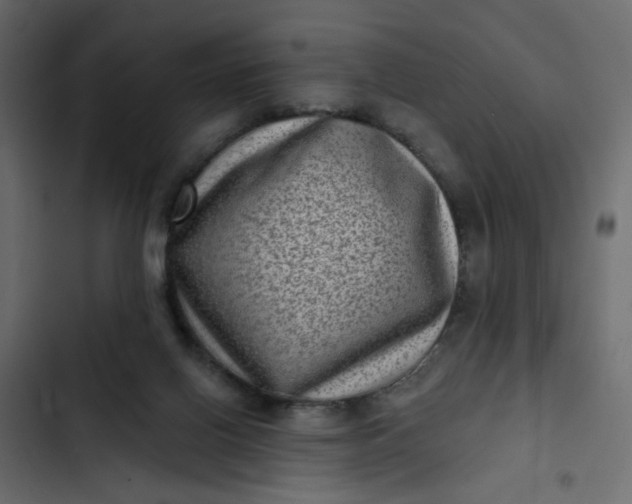 X0000102830070200809021323