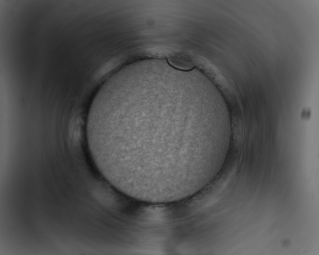 X0000102830071200809021323