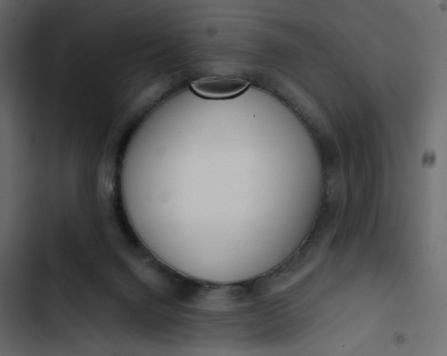 X0000102830072200809021323