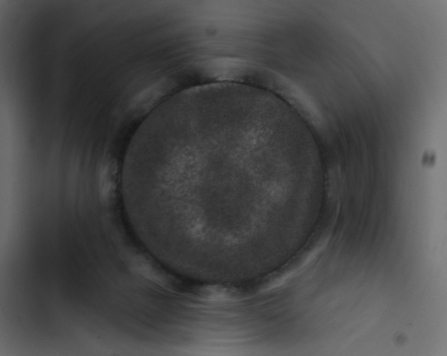 X0000102830073200809021323