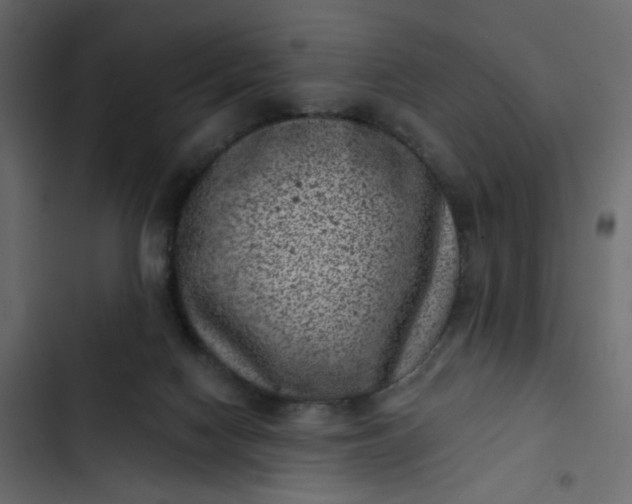 X0000102830074200809021323