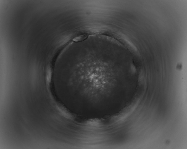 X0000102830076200809021323