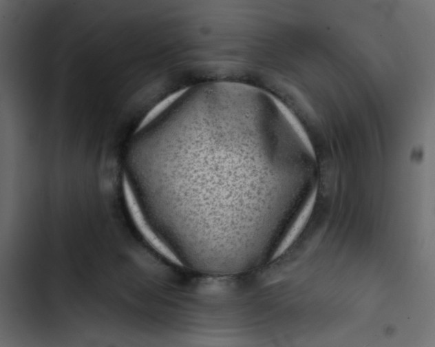 X0000102830077200809021323