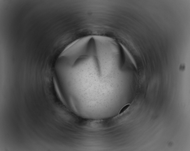 X0000102830078200809021323