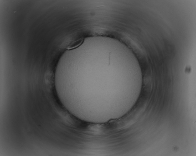 X0000102830079200809021323