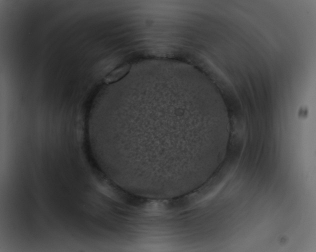 X0000102830080200809021323