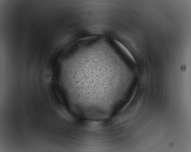 X0000102830081200809021323