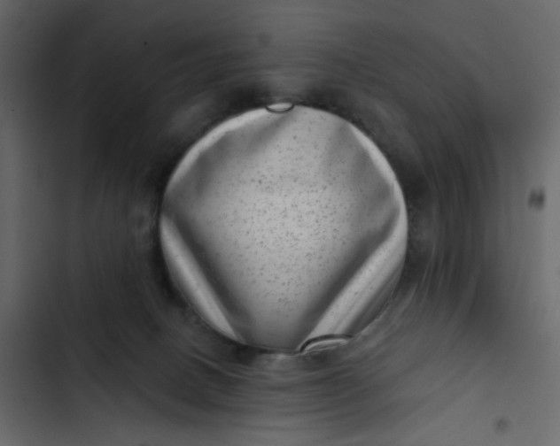 X0000102830082200809021323